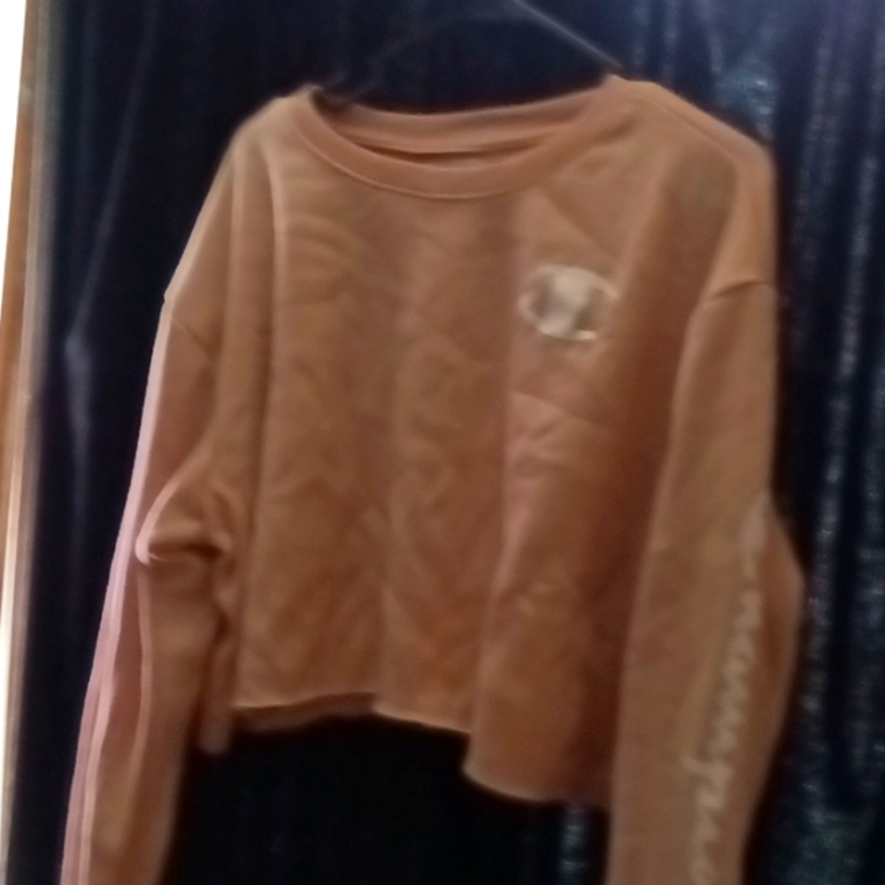 Champion crop sweatshirt